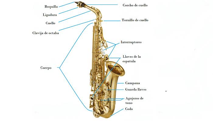 Partes del saxofón