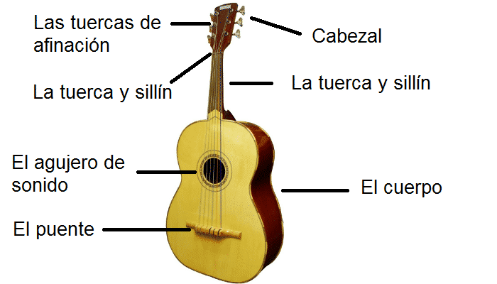 Partes del guitarrón
