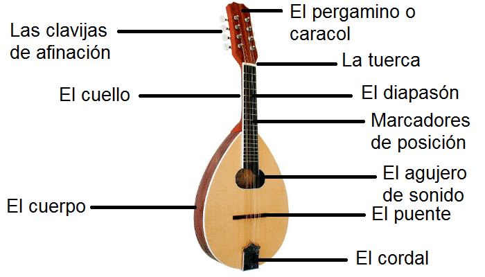 partes de la mandolina