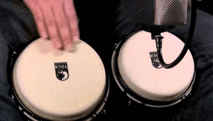 El papel de los bongos en la agrupaciones