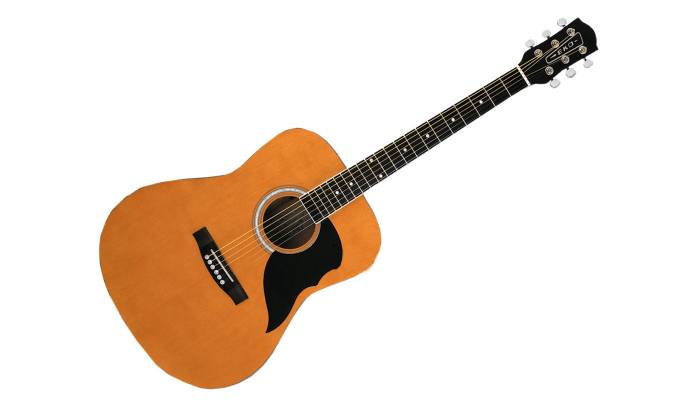 Guitarra acústica Eko